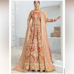 Pakistani Bride Dress